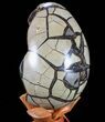 Septarian Dragon Egg Geode - Black Crystals #73778-3